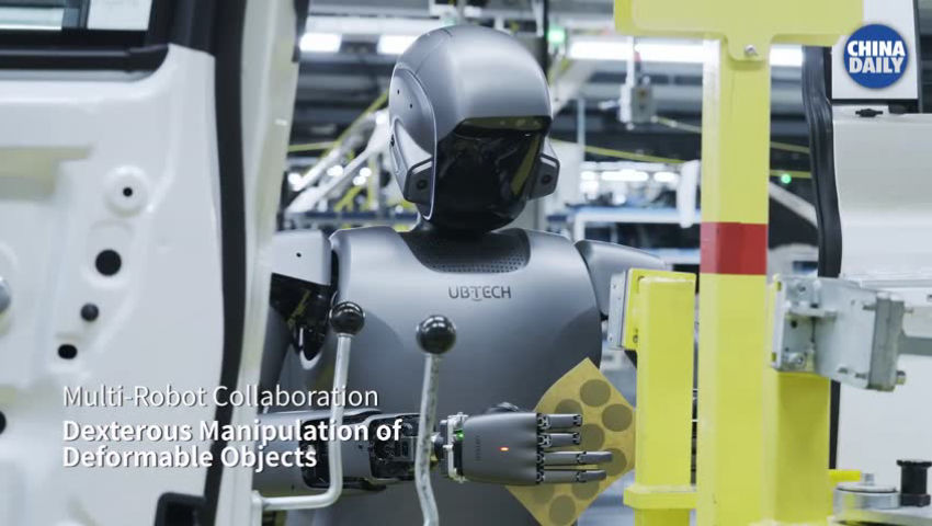 A team of humanoid robots is working collaboratively at a car factory in China